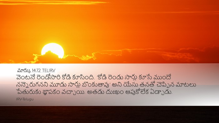 మార్కు 14:72 TELIRV Bible Verse Image