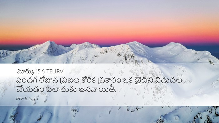 మార్కు 15:6 TELIRV Bible Verse Image