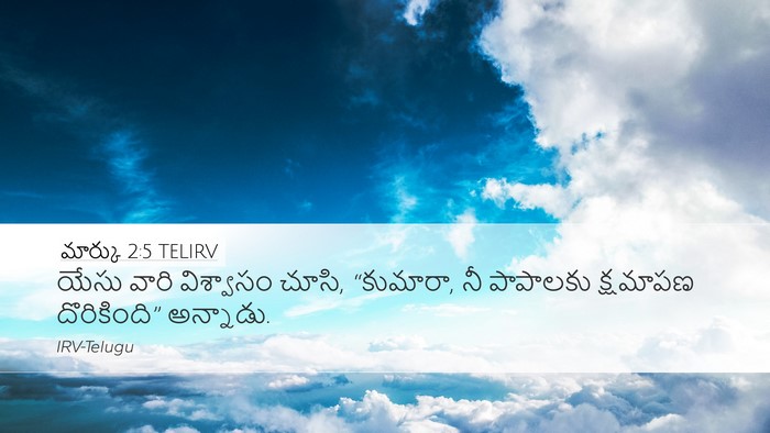 మార్కు 2:5 TELIRV Bible Verse Image