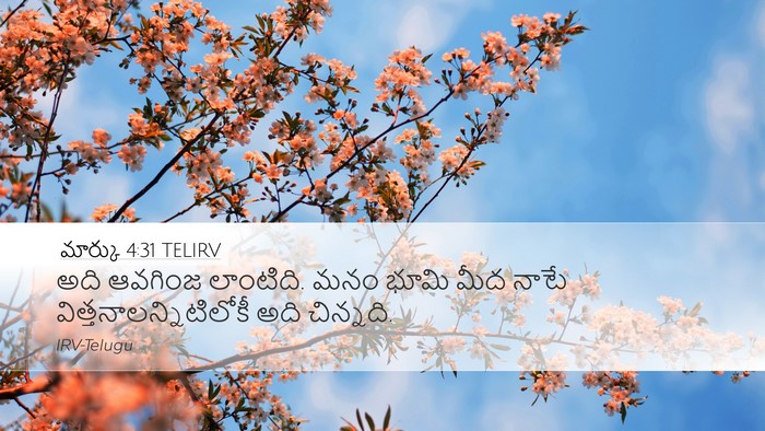 మార్కు 4:31 TELIRV Bible Verse Image