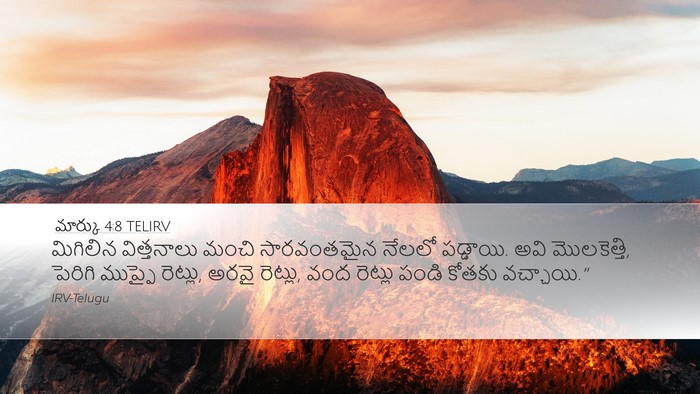 మార్కు 4:8 TELIRV Bible Verse Image