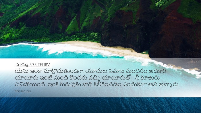 మార్కు 5:35 TELIRV Bible Verse Image