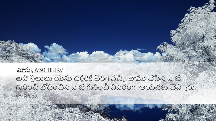 మార్కు 6:30 TELIRV Bible Verse Image