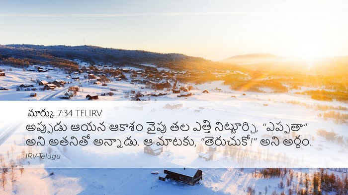 మార్కు 7:34 TELIRV Bible Verse Image