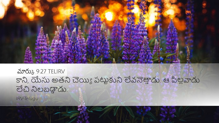 మార్కు 9:27 TELIRV Bible Verse Image