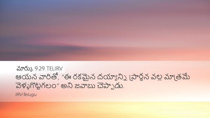 మార్కు 9:29 TELIRV Desktop Wallpaper - ఆయన వారితో, “ఈ - Desktop Bible Verse Wallpaper