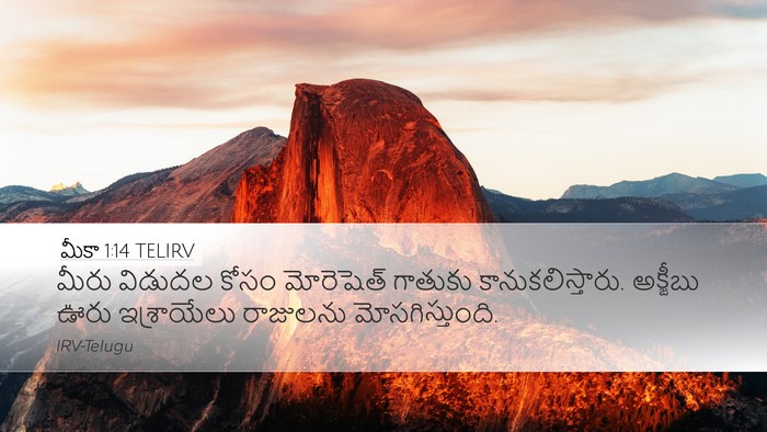 మీకా 1:14 TELIRV Bible Verse Image