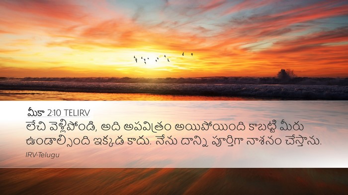 మీకా 2:10 TELIRV Bible Verse Image