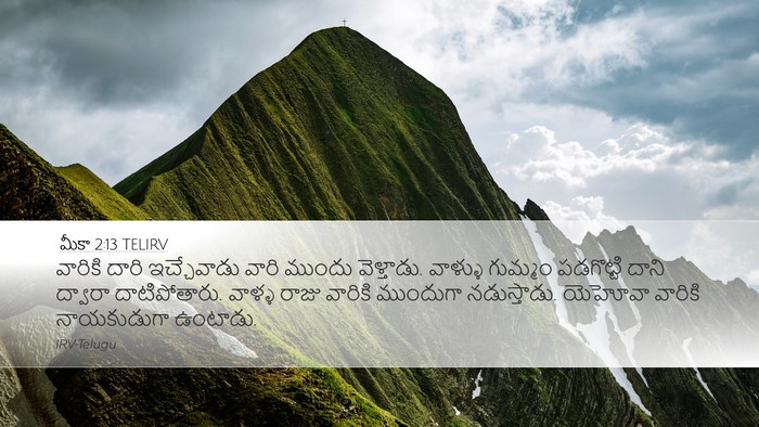 మీకా 2:13 TELIRV Bible Verse Image