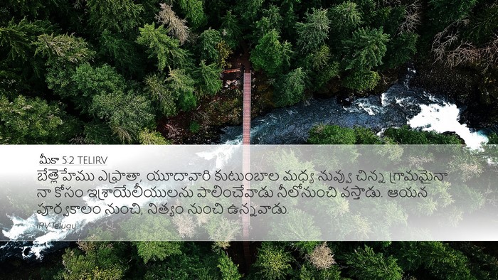 మీకా 5:2 TELIRV Bible Verse Image