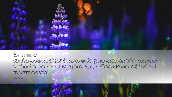 మీకా 5:7 TELIRV Bible Verse Image