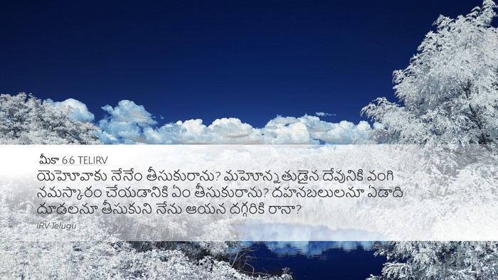 మీకా 6:6 TELIRV Bible Verse Image