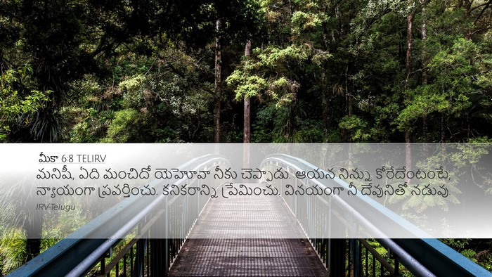 మీకా 6:8 TELIRV Bible Verse Image