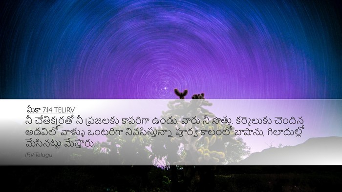 మీకా 7:14 TELIRV Bible Verse Image