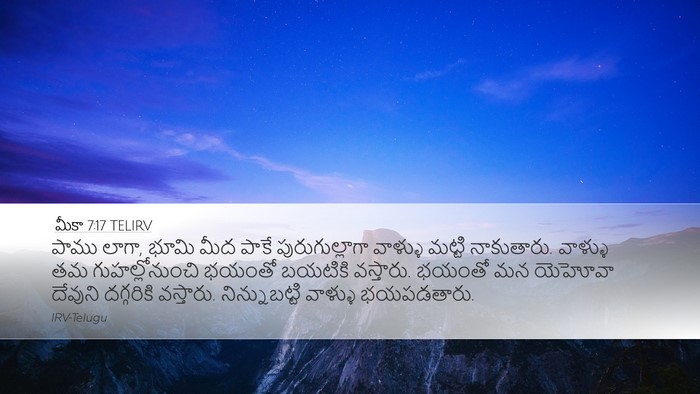 మీకా 7:17 TELIRV Bible Verse Image