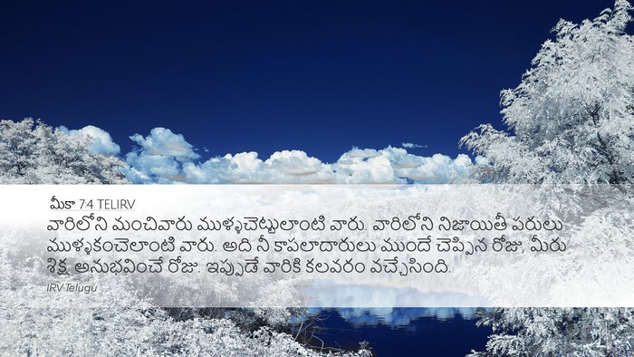 మీకా 7:4 TELIRV Bible Verse Image