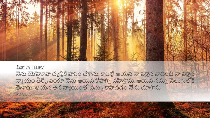 మీకా 7:9 TELIRV Bible Verse Image