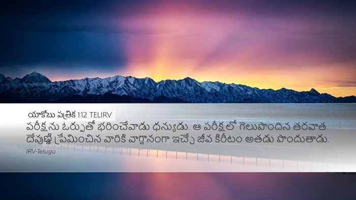యాకోబు పత్రిక 1:12 TELIRV Bible Verse Image
