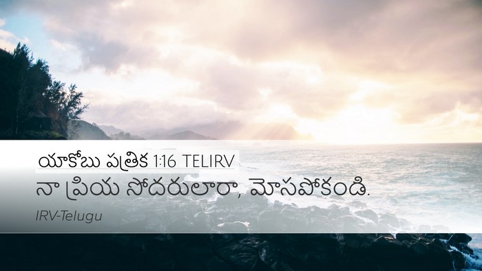 యాకోబు పత్రిక 1:16 TELIRV Bible Verse Image