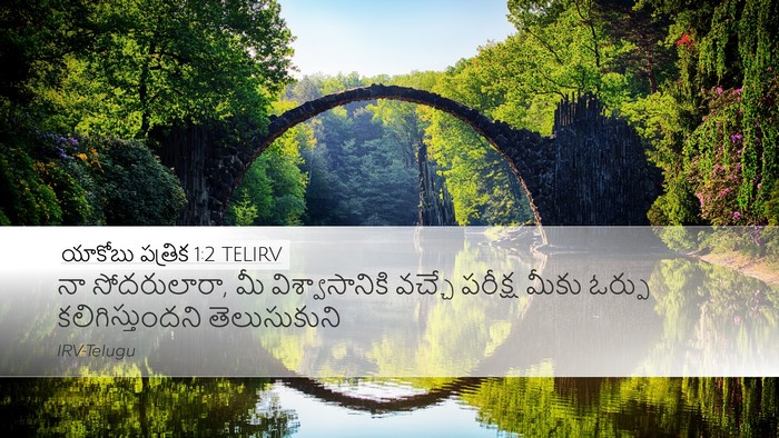 యాకోబు పత్రిక 1:2 TELIRV Bible Verse Image