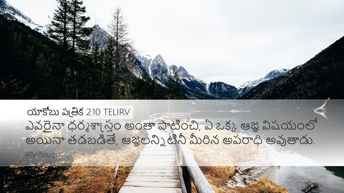 యాకోబు పత్రిక 2:10 TELIRV Bible Verse Image
