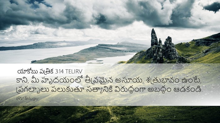 యాకోబు పత్రిక 3:14 TELIRV Bible Verse Image