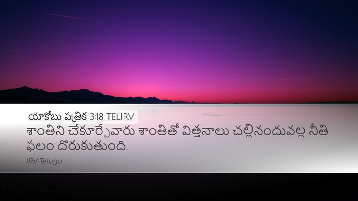 యాకోబు పత్రిక 3:18 TELIRV Bible Verse Image