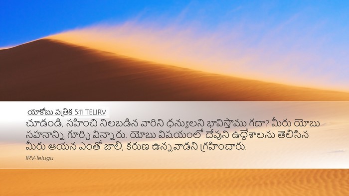 యాకోబు పత్రిక 5:11 TELIRV Bible Verse Image