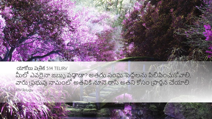 యాకోబు పత్రిక 5:14 TELIRV Bible Verse Image