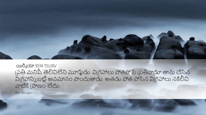 యిర్మీయా 10:14 TELIRV Bible Verse Image