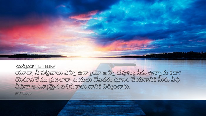 యిర్మీయా 11:13 TELIRV Bible Verse Image
