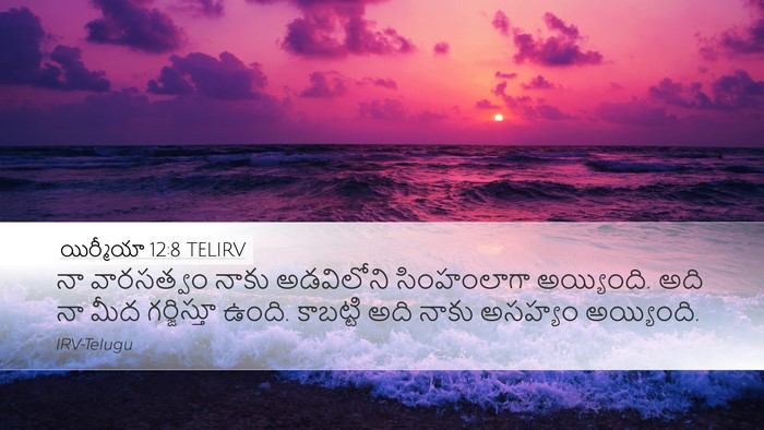 యిర్మీయా 12:8 TELIRV Bible Verse Image