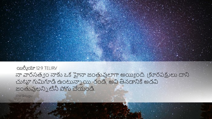 యిర్మీయా 12:9 TELIRV Bible Verse Image