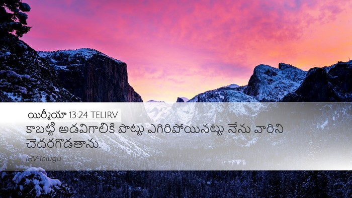 యిర్మీయా 13:24 TELIRV Bible Verse Image