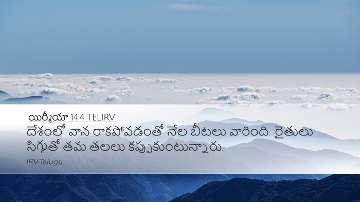 యిర్మీయా 14:4 TELIRV Bible Verse Image