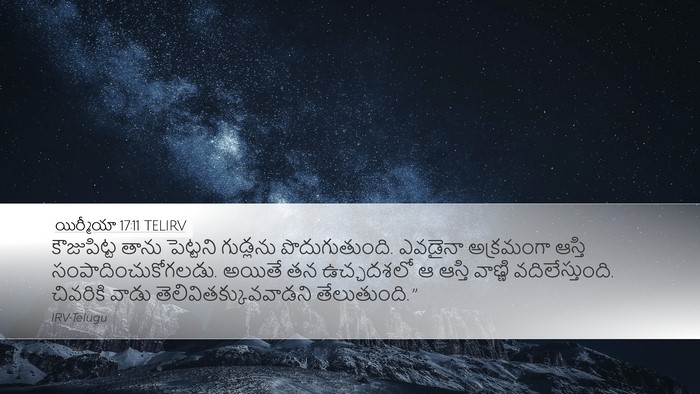 యిర్మీయా 17:11 TELIRV Bible Verse Image