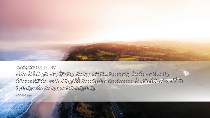 యిర్మీయా 17:4 TELIRV Bible Verse Image