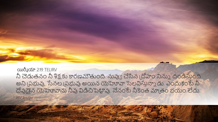 యిర్మీయా 2:19 TELIRV Bible Verse Image