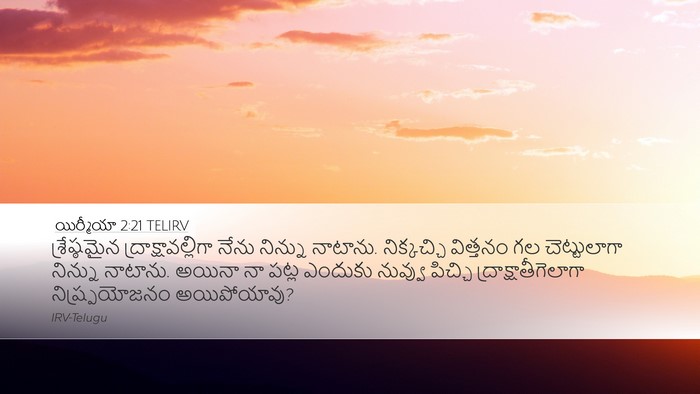 యిర్మీయా 2:21 TELIRV Bible Verse Image