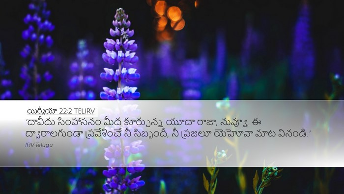యిర్మీయా 22:2 TELIRV Bible Verse Image