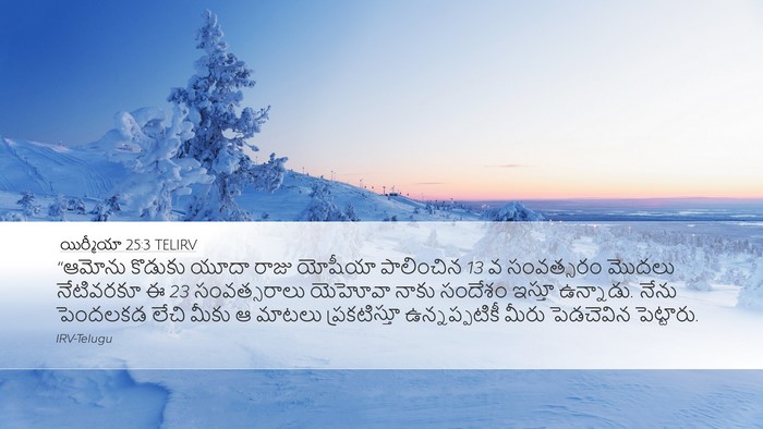 యిర్మీయా 25:3 TELIRV Bible Verse Image
