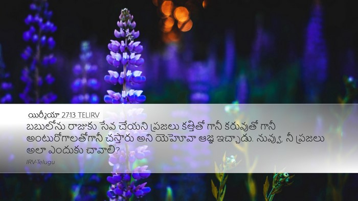 యిర్మీయా 27:13 TELIRV Bible Verse Image