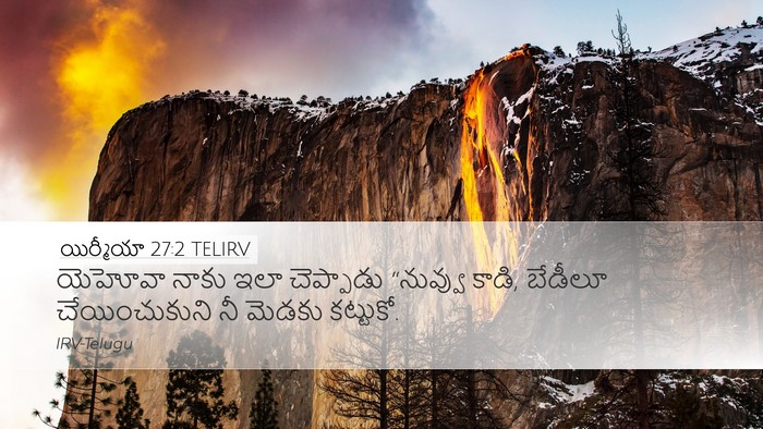 యిర్మీయా 27:2 TELIRV Bible Verse Image