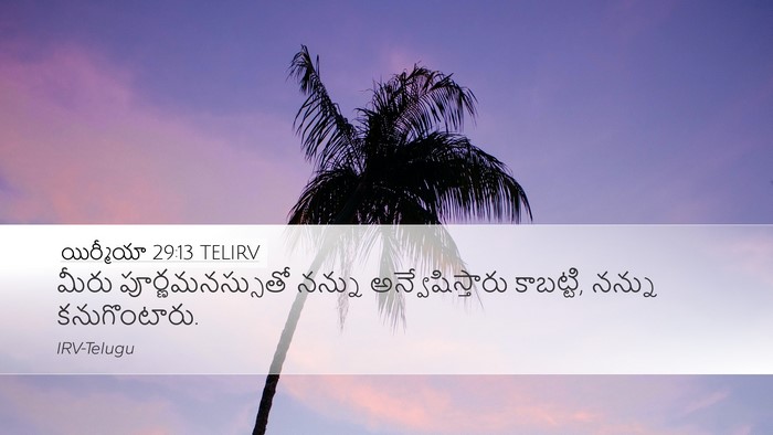 యిర్మీయా 29:13 TELIRV Bible Verse Image