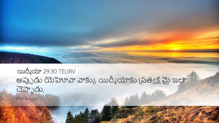 యిర్మీయా 29:30 TELIRV Bible Verse Image