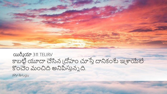 యిర్మీయా 3:11 TELIRV Bible Verse Image
