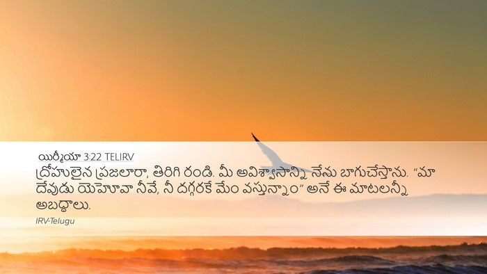 యిర్మీయా 3:22 TELIRV Bible Verse Image