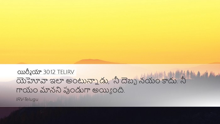 యిర్మీయా 30:12 TELIRV Bible Verse Image