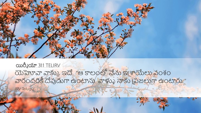 యిర్మీయా 31:1 TELIRV Bible Verse Image