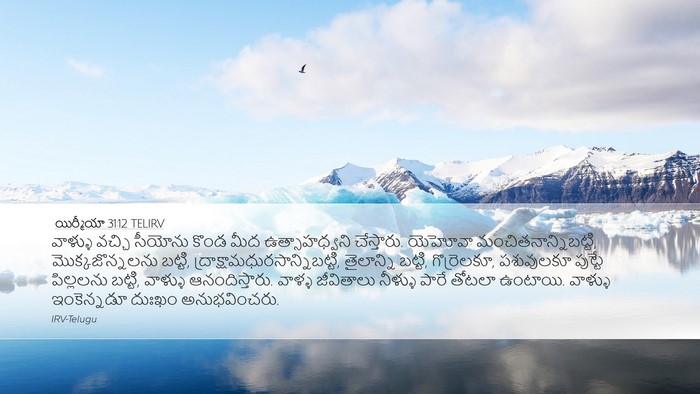 యిర్మీయా 31:12 TELIRV Bible Verse Image